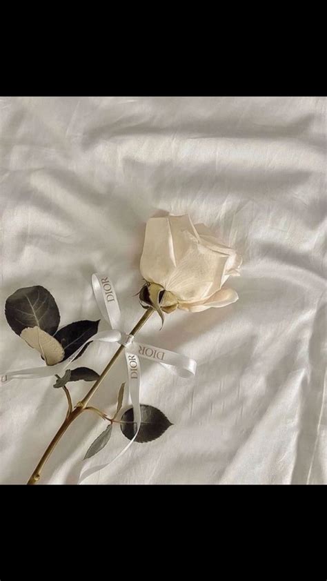 🍌 Kym.Skym Kym Leaked XxX 127 Photos