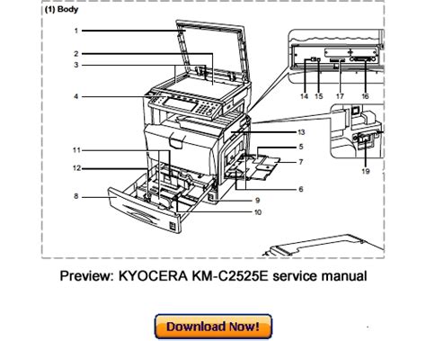 Kyocera km c2525e c3225e c3232e c4035e service repair manual download. - Clinical anatomy lab manual answer key.