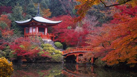 Kyoto gardens. Things To Know About Kyoto gardens. 