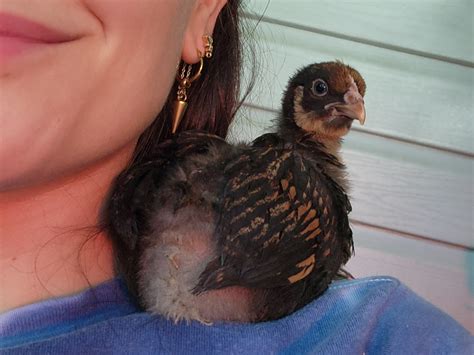 😈 +18 Kyuubicaughtu Onlyfans Leaked