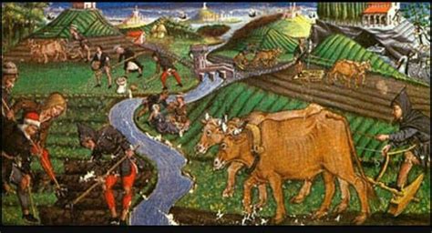 L' agricoltura piemontese nel xx secolo. - Bobcat s150 manual de piezas gratis.