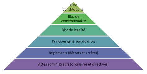 L' altérologie normative et ses applications. - Pass the mrcpsych parts i ii all the techniques you need 3e mrcpsy study guides.