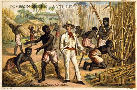 L' esclavage aux antilles françaises avant 1789. - Standard study guide the essential companion.