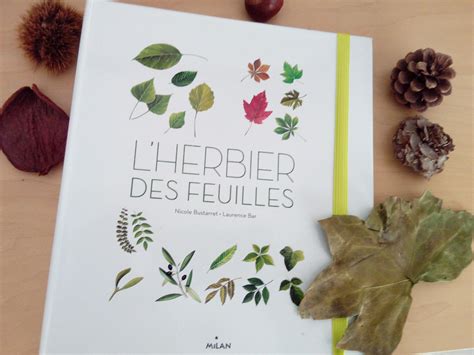 L'Herbier