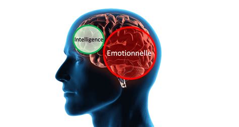 L'Intelligence émotionnelle