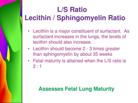 L:S ratio definition of L:S ratio by Medical dictionary