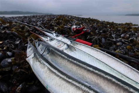 Lørdag den 21. Maj er Breakfishing... - Breakfishing.com Facebook