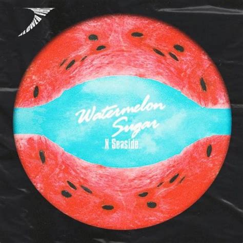 Lời Dịch Bài Hát Watermelon Sugar - Harry Styles - Blogger