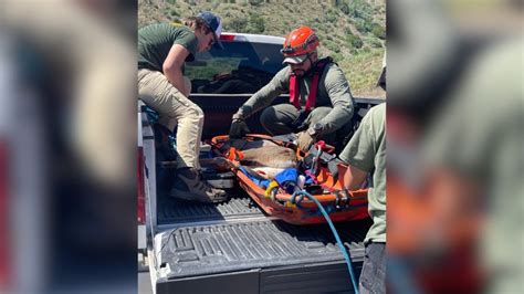 L.A. County search and rescue team saves deer stranded in debris basin