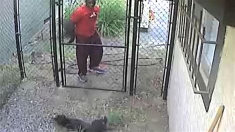 L.A. man accused of tossing caged puppy over fence, police say