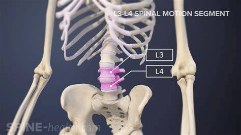 L3 meaning in job.  L4 - Can handle medium-to-large features (<2 mo...