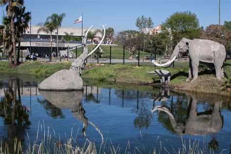 La Brea Tar Pits - wintechmobiles.com