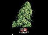 LA Skunk XXX (US SkunkX) :: Cannabis Strain Info