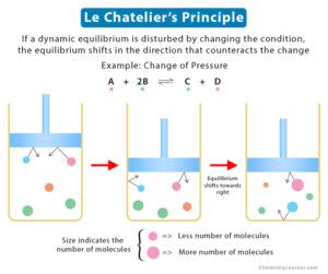 Lab: Le Chatelier Principle - Observations & Interpretations - wintechmobiles.com