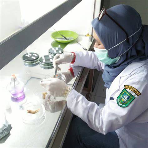 LABORATORIUM KESEHATAN IKAN DAN LINGKUNGAN - raincitystudios.com