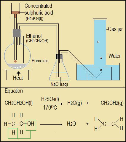 Laboratory Preparation of Ethene and Its Uses - wintechmobiles.com