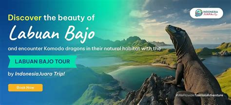 Labuan Bajo - wintechmobiles.com