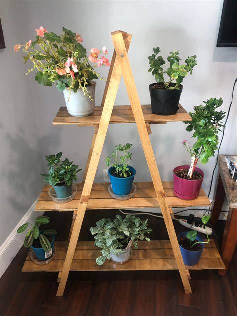 Ladder Plant Stand | Bamboo & Metal Options, Multiple Tiers - Target - raincitystudios.com