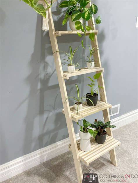 Ladder Plant Stand - Etsy - raincitystudios.com