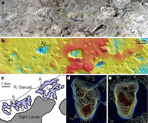 Laetoli: The Unfolding Story - Popular Archeology - wintechmobiles.com