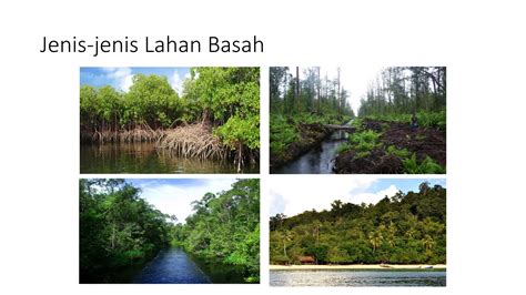 LAHAN BASAH - Mulawarman University - muktibox.com