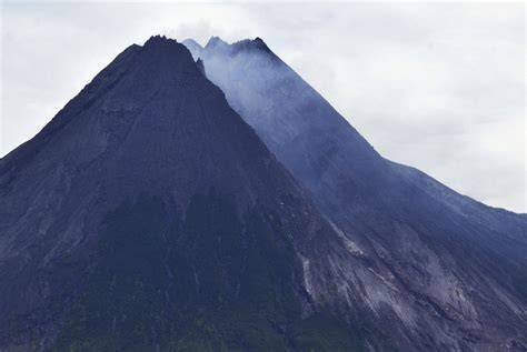 Lahan Bekas Kebakaran di TN Gunung Merapi Dihijaukan - raincitystudios.com