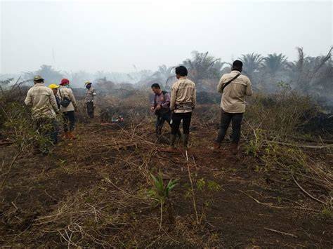 Lahan Gambut 0,5 Hektare di Balanti HST Terbakar - raincitystudios.com
