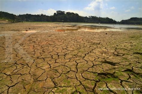 LAHAN KERING MASAM - Pertanian - wintechmobiles.com