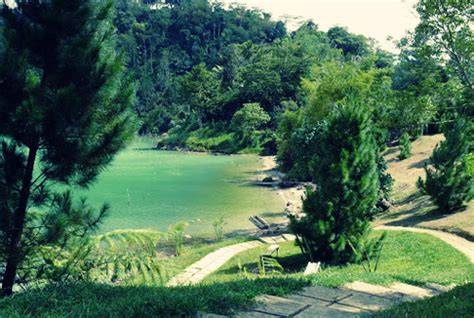 Lahendong Pine Forest and Hot Spring Tourism - raincitystudios.com