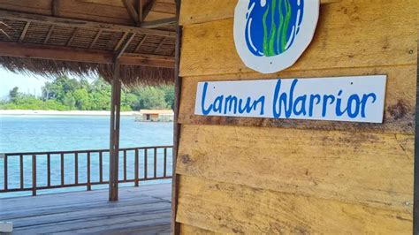 Lamun Warrior - muktibox.com