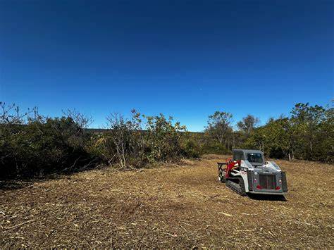 Land and Vegetation Management | Austin Watershed Protection ... - raincitystudios.com