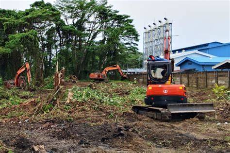 Land Clearing dan Produksi Kelapa Sawit | PDF - Scribd - raincitystudios.com