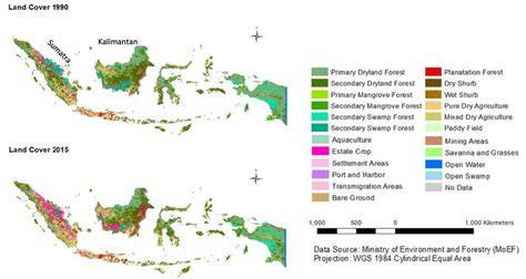 Land Cover Indonesia - Overview - ArcGIS - raincitystudios.com