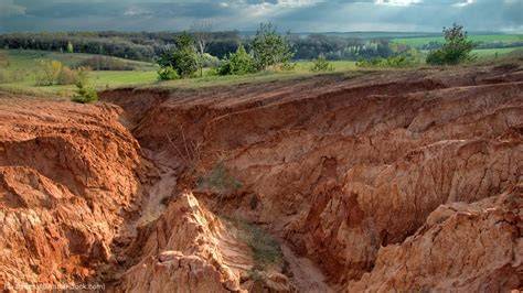 Land Degradation & Development | Environmental & Soil Science … - raincitystudios.com