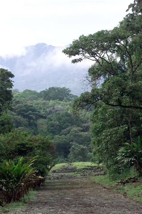 Land Ecosystems Are Becoming Less Efficient at … - raincitystudios.com