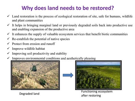 Land Reclamation: Restoring Degraded Lands - muktibox.com