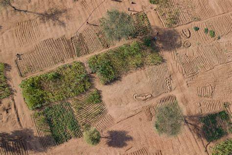Land restoration requires immediate action and … - raincitystudios.com