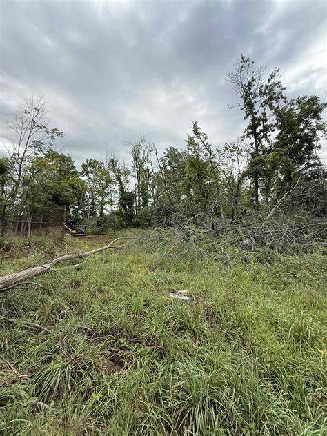 Land Restoration Services Illinois | Tallgrass Restoration - raincitystudios.com