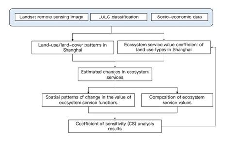 Land use and land cover dynamics and ecosystem services ... - Springer - raincitystudios.com