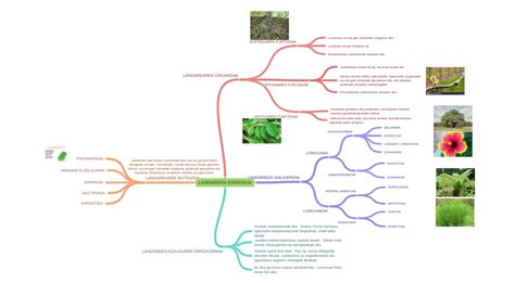 LANDAREEN ERREINUA (LANDAREAREN NUTRIZIOA (GARRAIOA, …