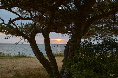 LANDDELIKAT: Neu bei uns in der Ummanz... - Rügeninsel …