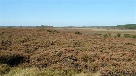 codini.rgarabwor.edu.pl. 