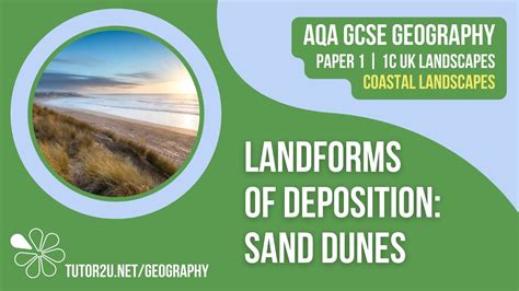 Landforms of Deposition: Sand Dunes | AQA GCSE Geography | Coastal ... - wintechmobiles.com