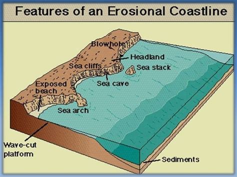 Landforms of Erosional Coasts - Features and Formation - Vedantu - wintechmobiles.com