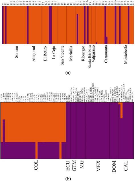 Landscape Genetics and Phytogeography of Criollo … - raincitystudios.com