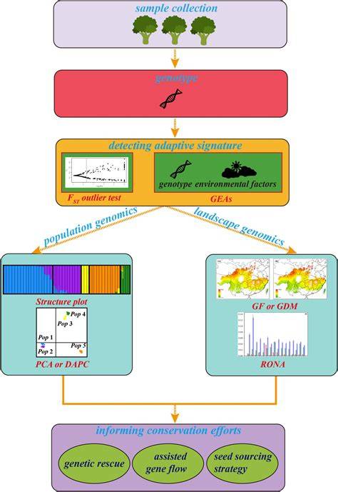 Landscape Genomics in Tree Conservation Under a … - raincitystudios.com