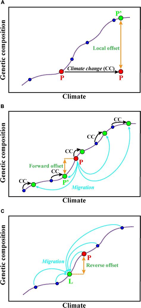 Landscape genomics predicts climate change-related genetic offset for ... - raincitystudios.com