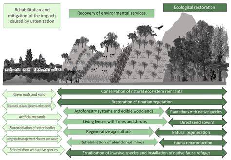 Landscape rehabilitation of degraded tropical forest ecosystems: case ... - raincitystudios.com