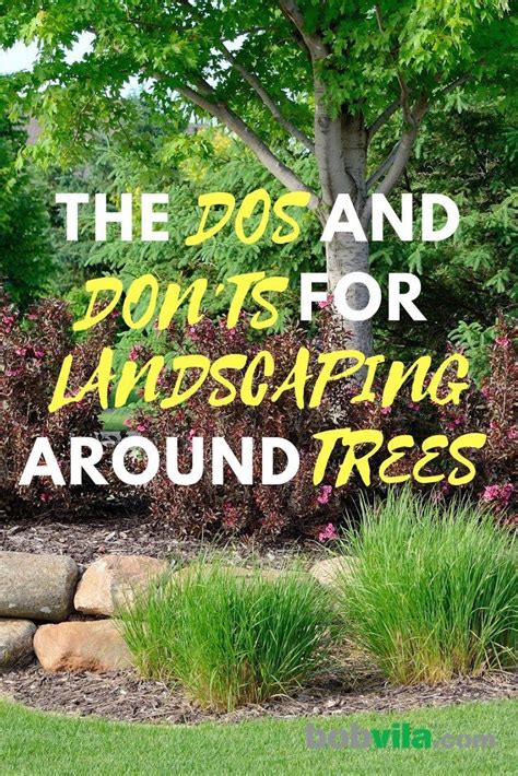 Landscaping Around Trees: 12 Secret Tips for Pro Results - Bob Vila - raincitystudios.com