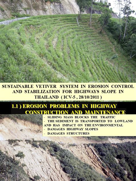 Landslides and Erosion Control Measures by Vetiver System - raincitystudios.com